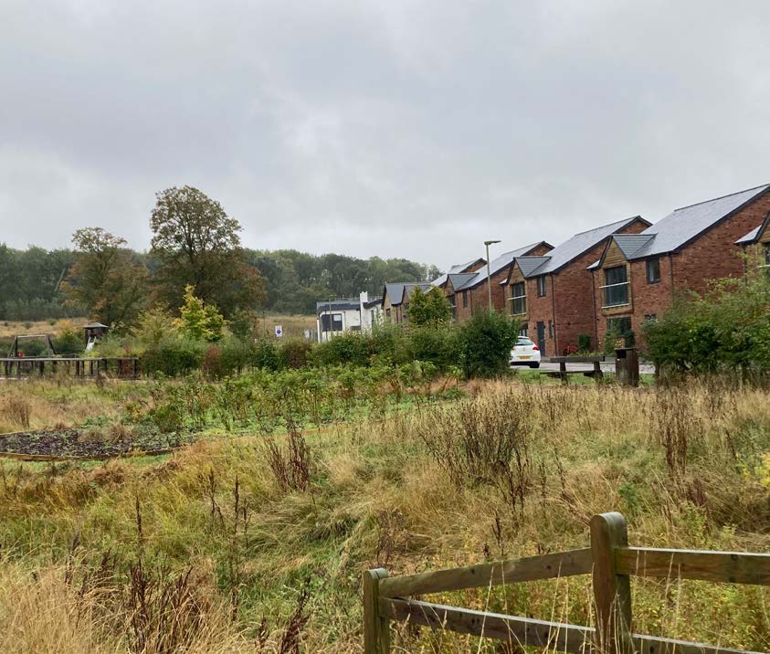 Long grass in the foreground with houses in the background.