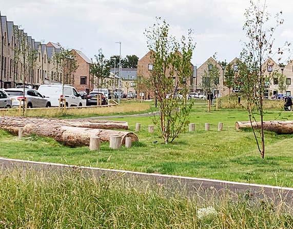 Neighbourhood with a central green space, including a path, grass and trees.